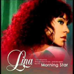 两根黑捧一前一后
