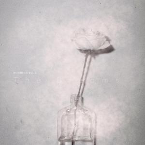 两根黑捧一前一后
