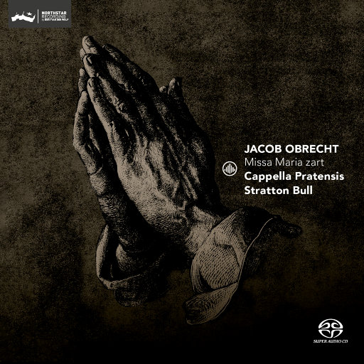 两根黑捧一前一后
